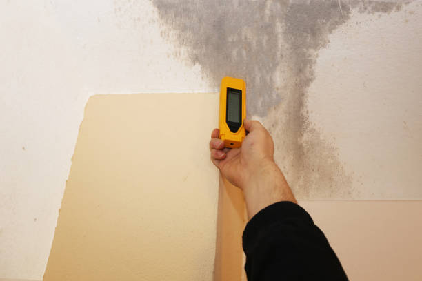 Best Mold Remediation for Vacation Homes  in Varnell, GA