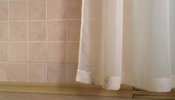 Best Mold Documentation for Insurance Claims  in Varnell, GA