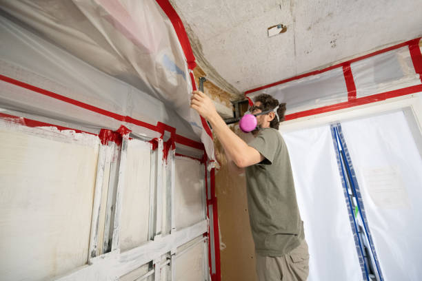 Best Post-Remediation Verification Testing  in Varnell, GA