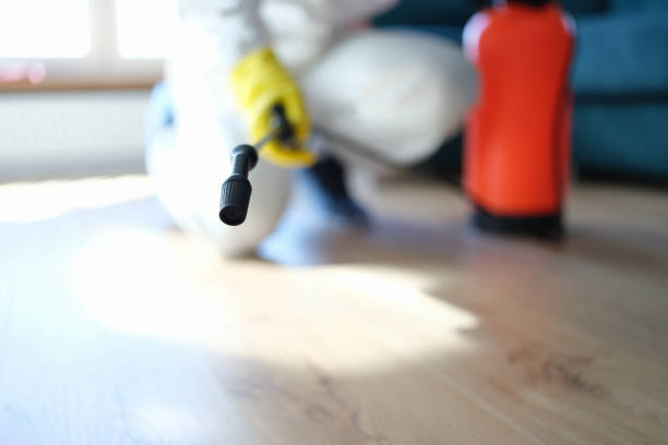 Best Crawl Space Mold Remediation  in Varnell, GA